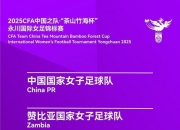 米兰体育-关键讨论：女足锦标赛背后的故事的简单介绍