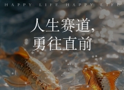 米兰体育-关于球员们勇往直前，冲向梦想的终点的信息