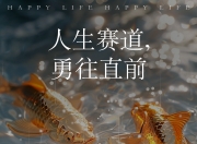 米兰体育-关于球员们勇往直前，冲向梦想的终点的信息