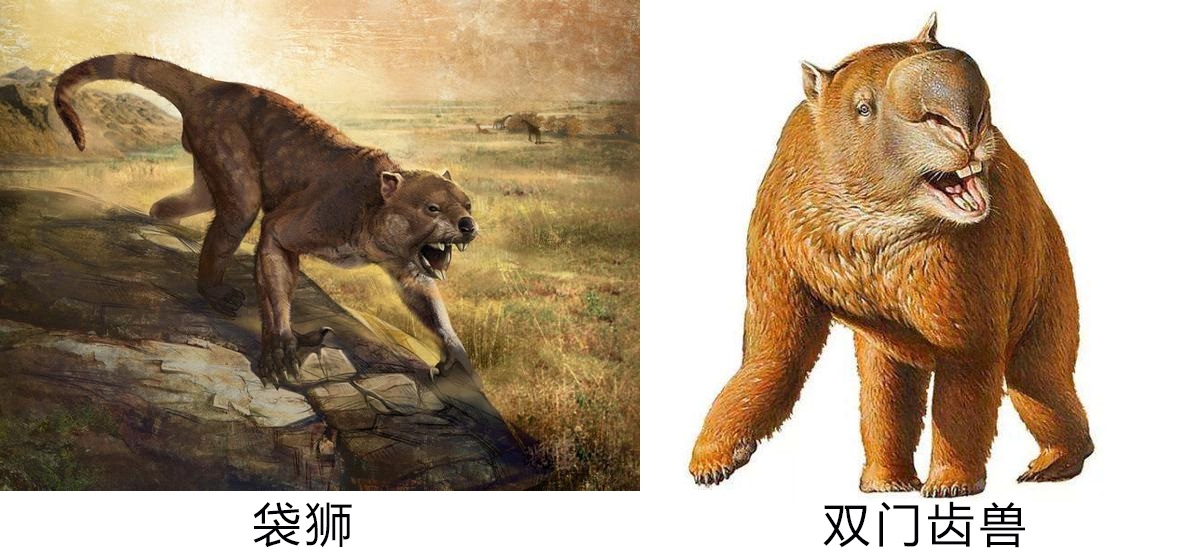 包含塔斯马尼亚联调整后防线，迎战欧洲豪门难度加大的词条