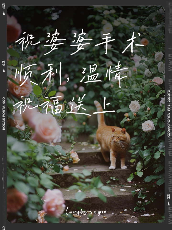 阿拉巴祝福穆西亚拉：保持坚强！祝你顺利、完全康复！