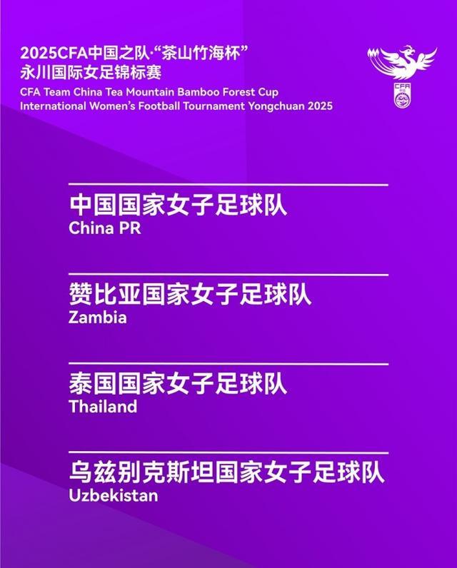 关键讨论：女足锦标赛背后的故事的简单介绍